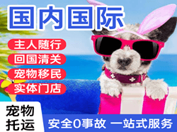 西庆机场托运国际宠物托运 【国